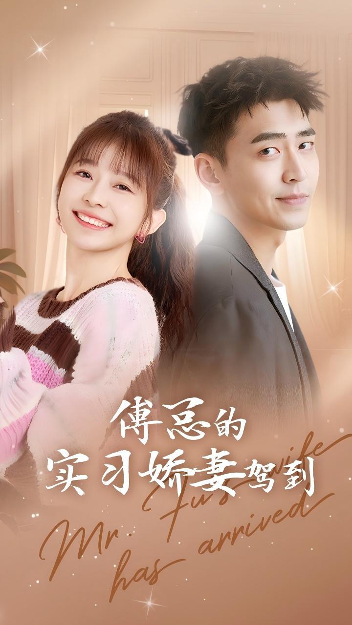 傅总的实习娇妻驾到