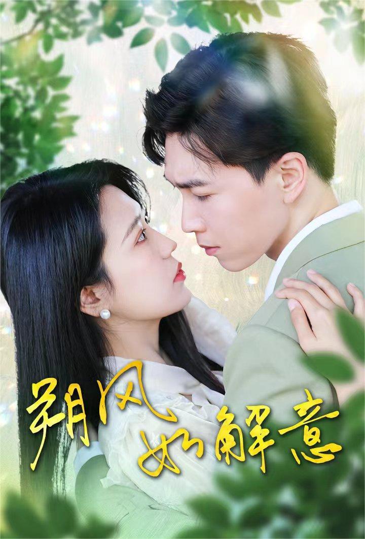 朔风如解意