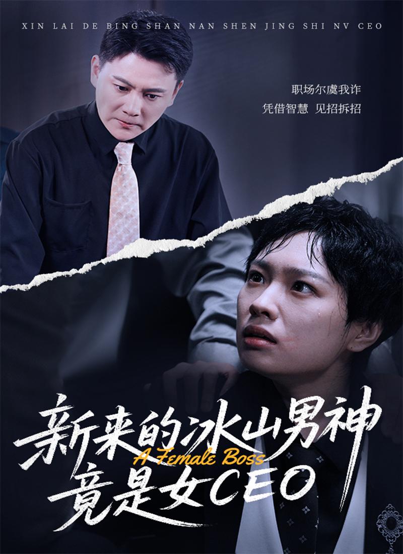 新来的冰山男神竟是女CEO