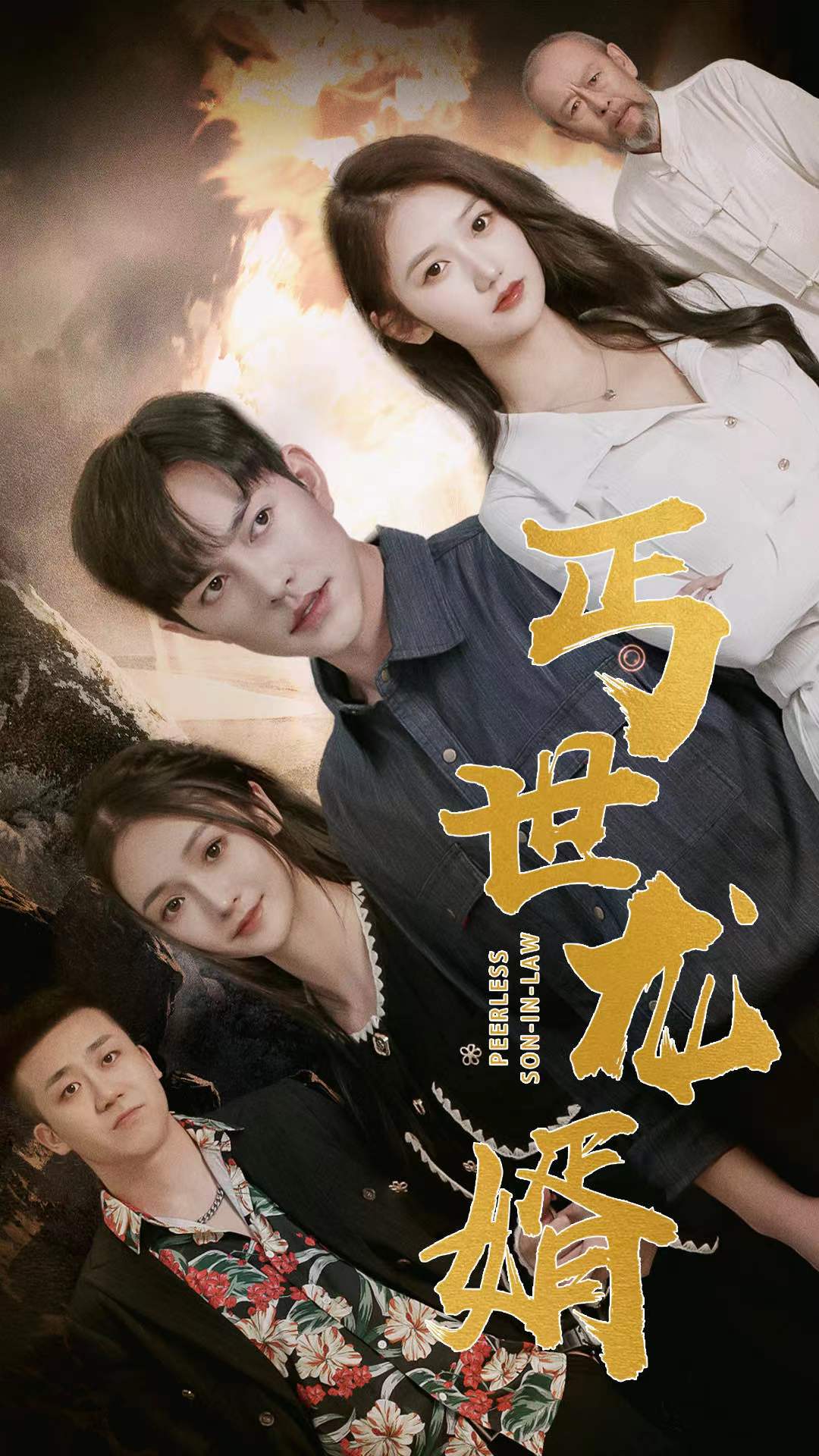 丐世龙婿