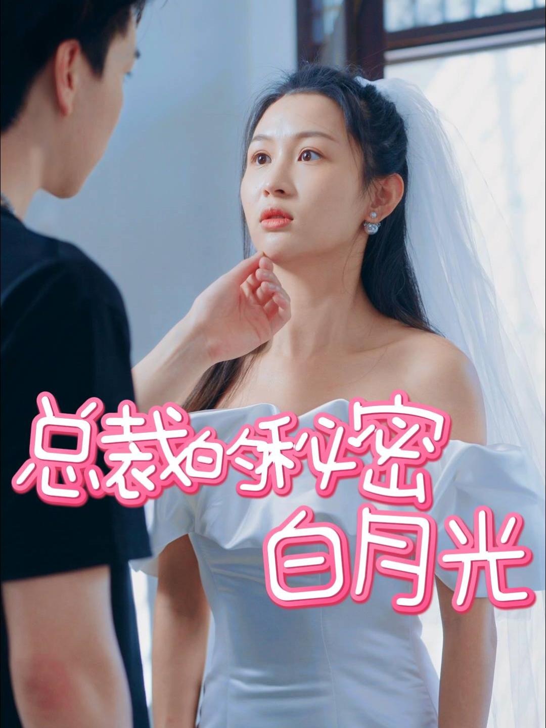 总裁的秘密白月光