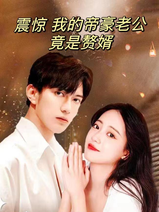 震惊我的帝豪老公竟是赘婿