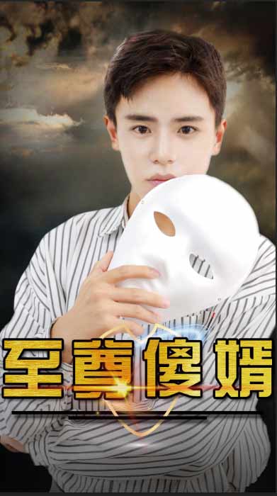至尊傻婿