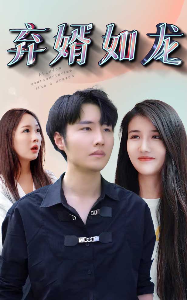 弃婿如龙