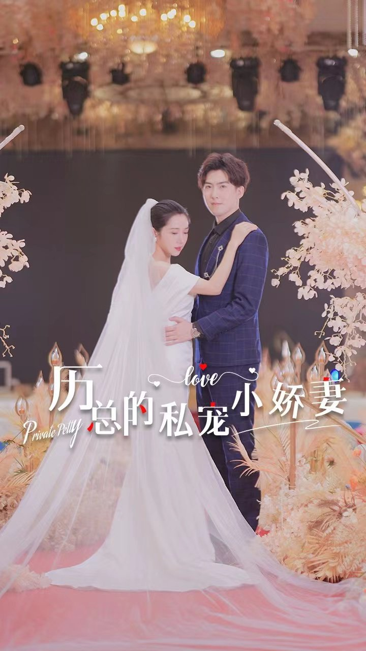 厉总的私宠小娇妻