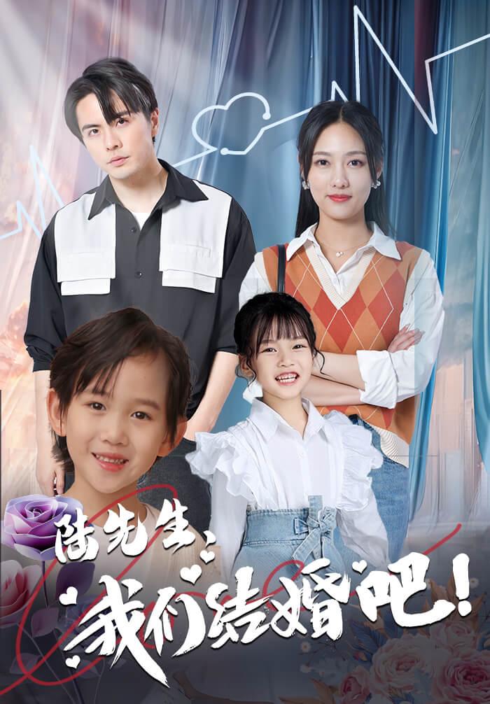 陆先生我们结婚吧