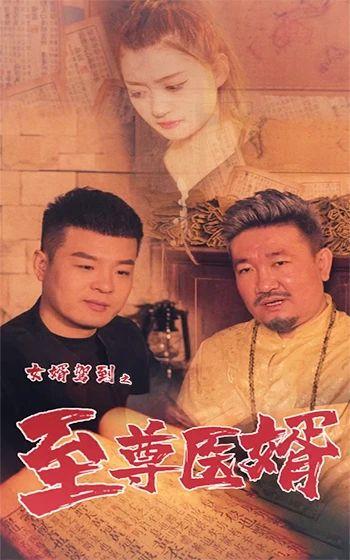 女婿驾到之至尊医婿