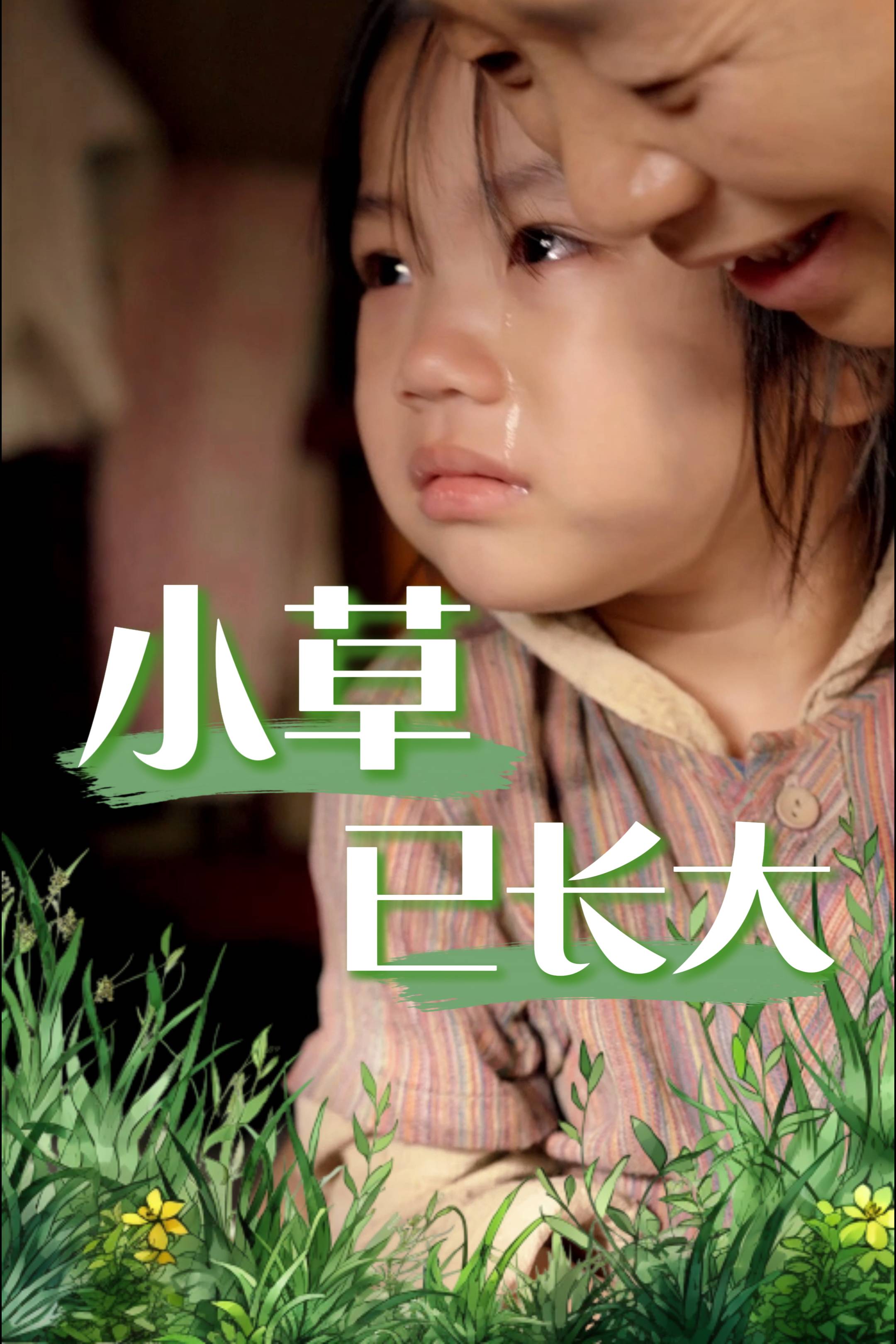 小草已长大