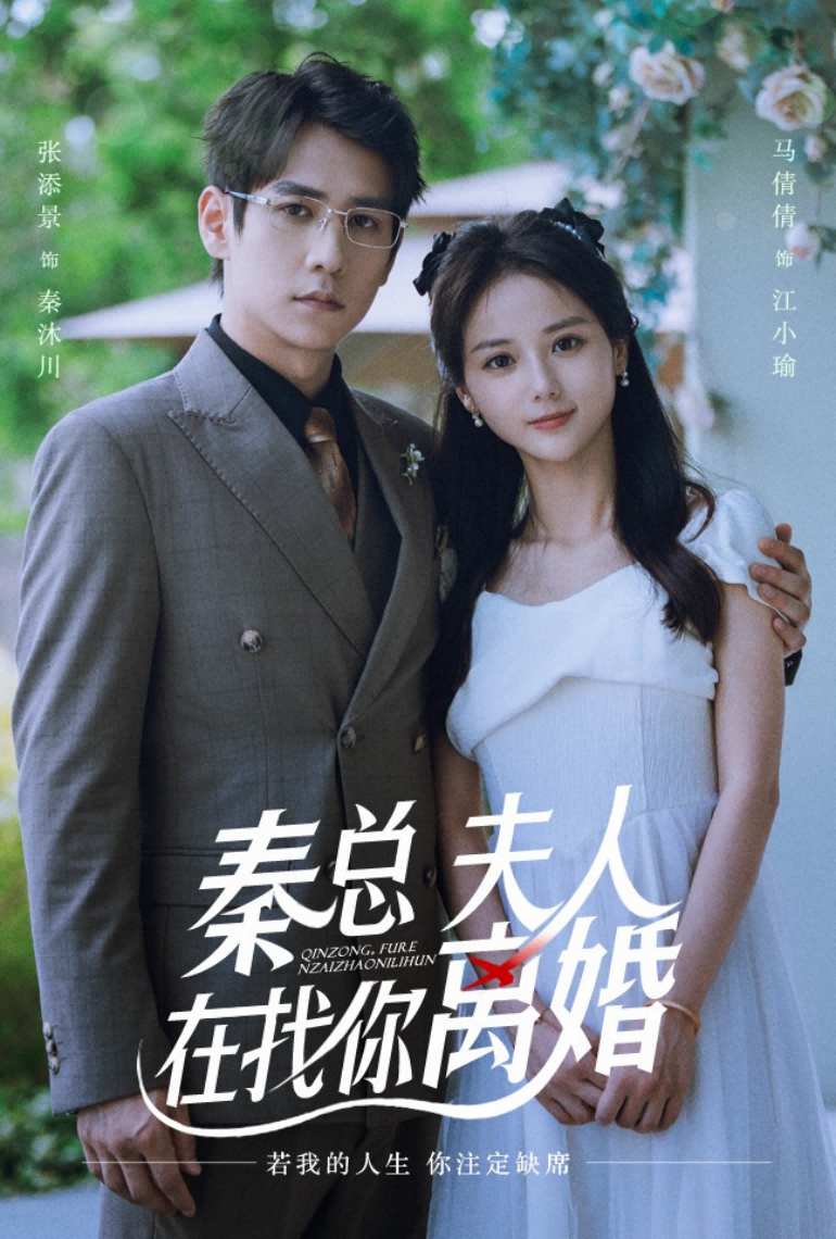 秦总夫人在找你离婚