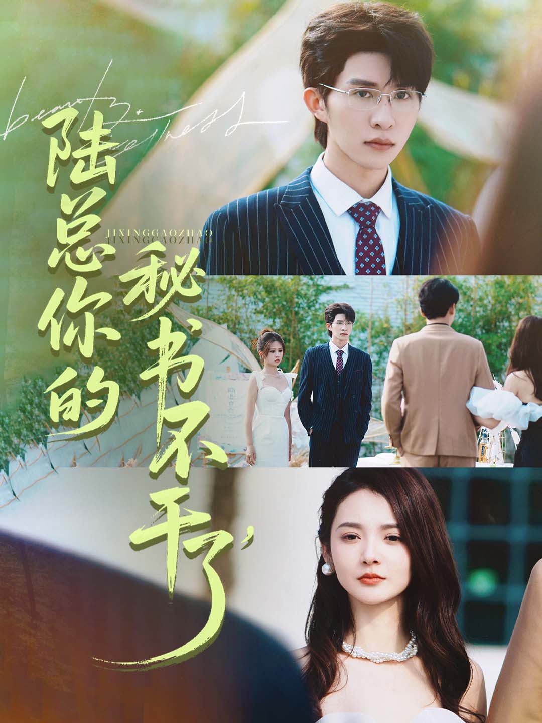 陆总你的秘书不干了