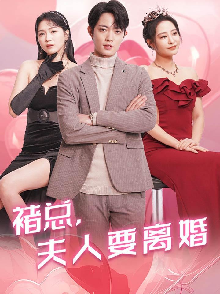 褚总，夫人要离婚