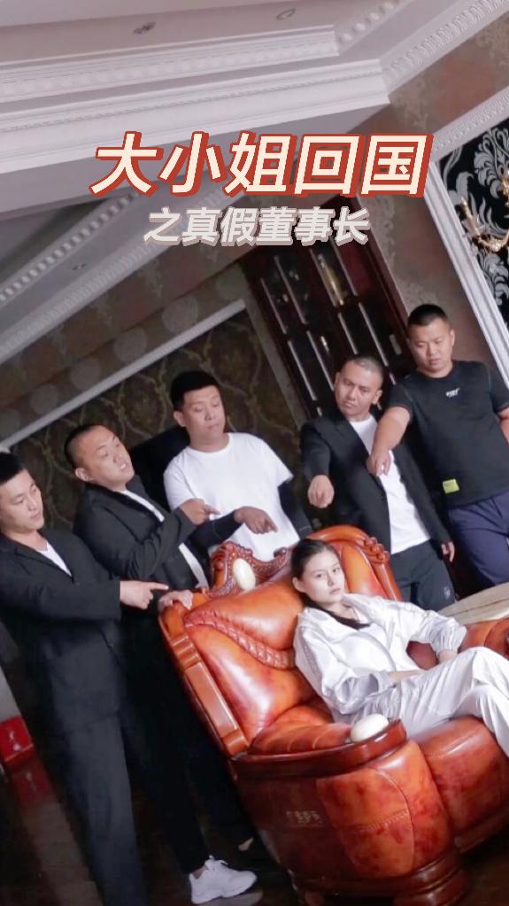 大小姐回国之真假董事长